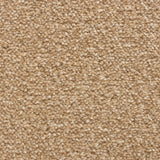 Cedar Falls Carpet