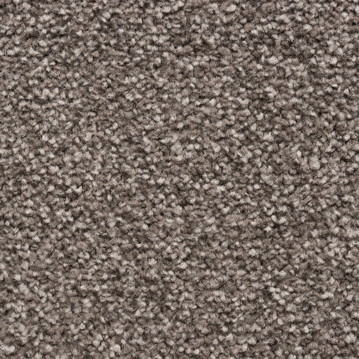 Cedar Falls Carpet