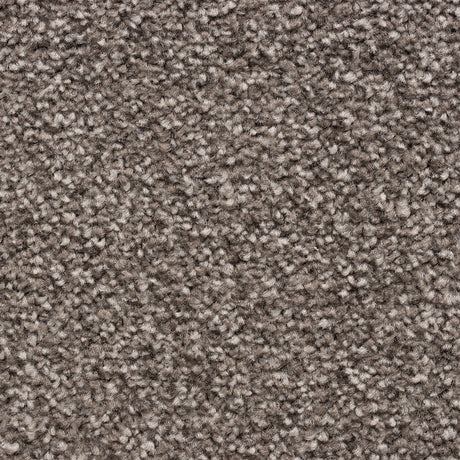 Cedar Falls Carpet