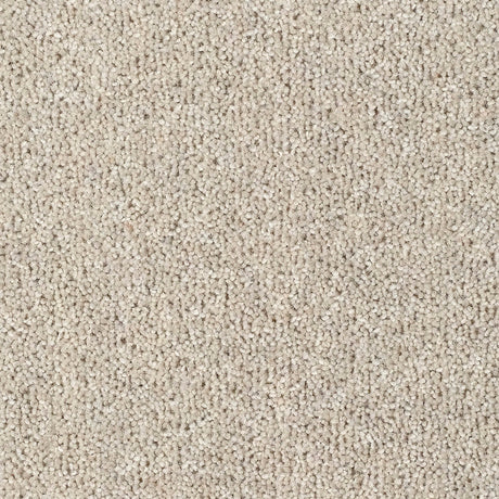Fairbourne Carpet