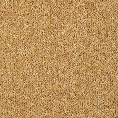 Fairbourne Carpet