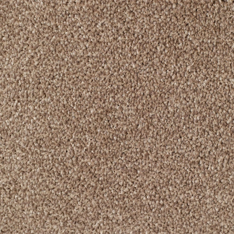 Mullion Carpet