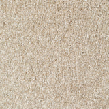Mullion Carpet