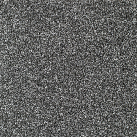 Mullion Carpet