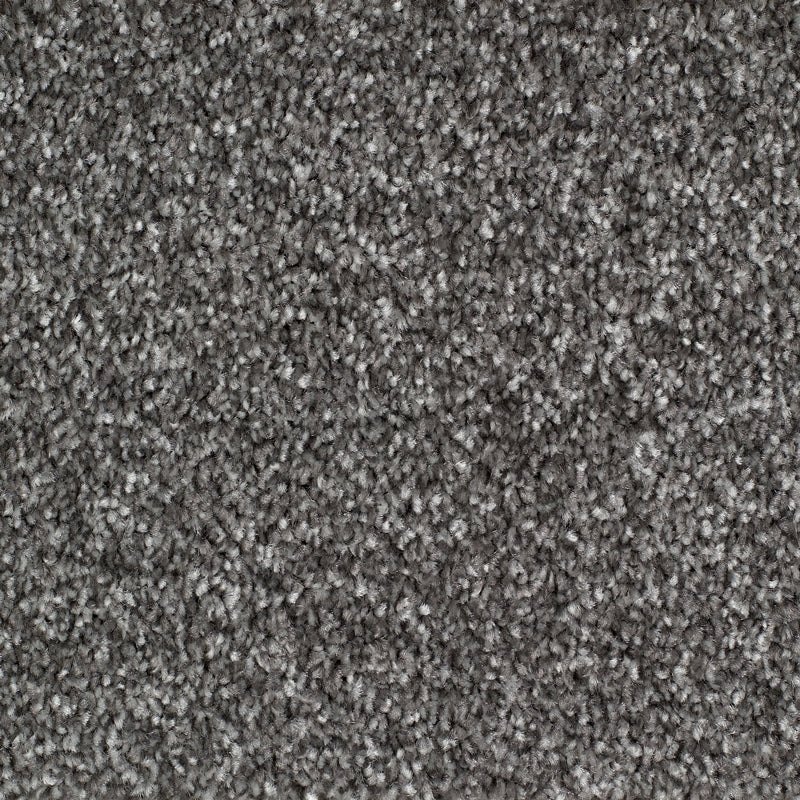 Rye Carpet