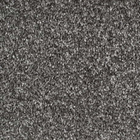 Rye Carpet