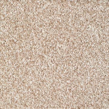 Rye Carpet