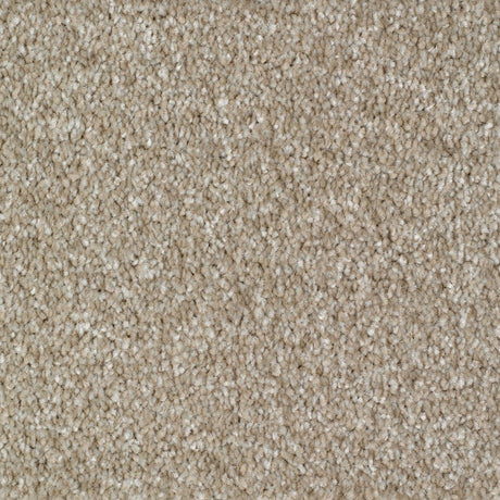 Rye Carpet