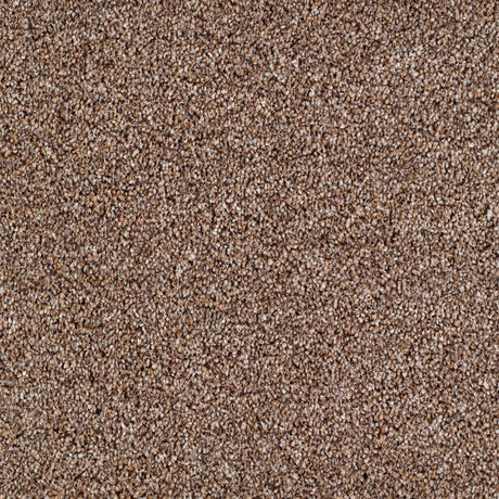 Salcombe Carpet