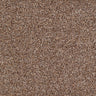 Salcombe Carpet