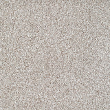 Salcombe Carpet