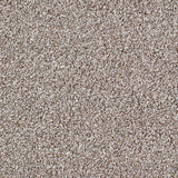 Salcombe Carpet
