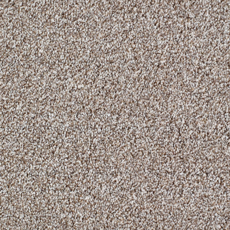 Salcombe Carpet
