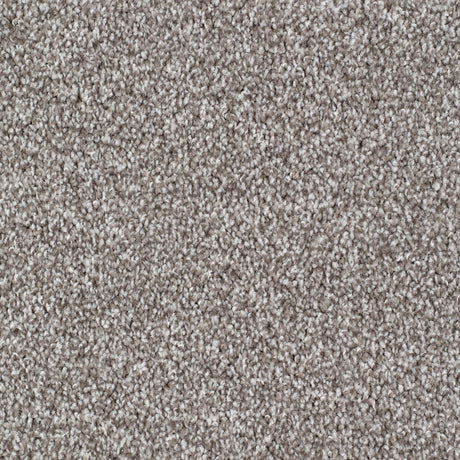 Seaford Carpet