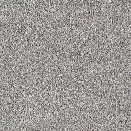 Seaford Carpet
