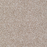 Seaford Carpet