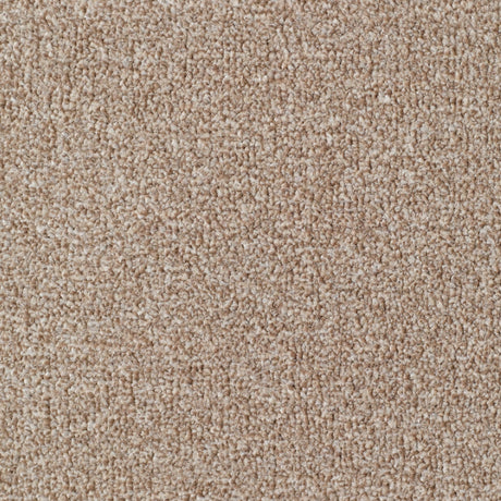 Seaton Valley Carpet