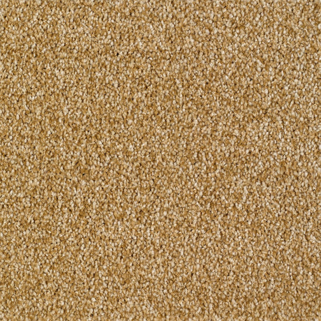 Sennen Twist Carpet