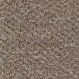 Woodford Carpet